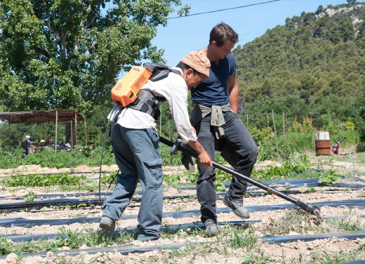 La vente des produits du Grand Réal