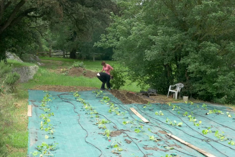 activites la bourguette