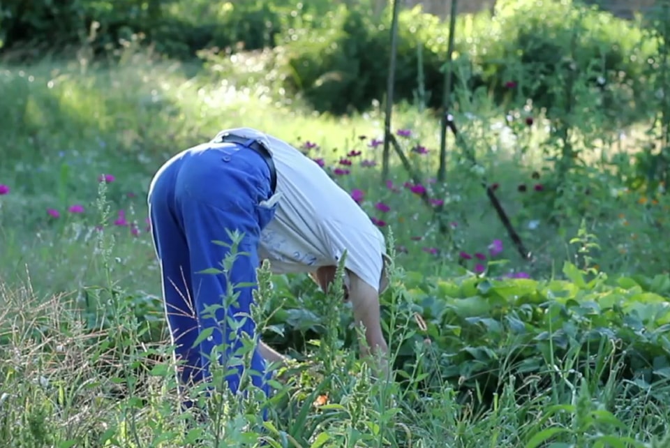 infos pratiques la bourguette