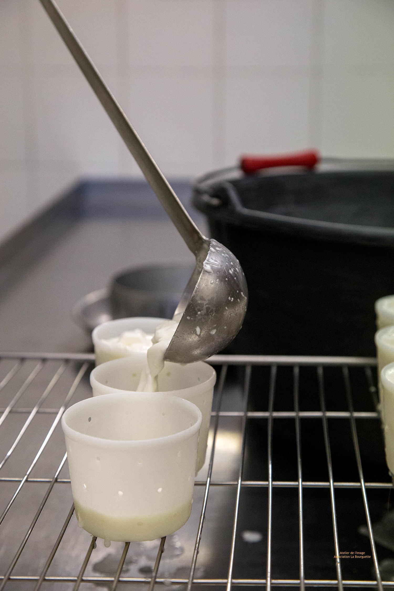 nos productions elevage