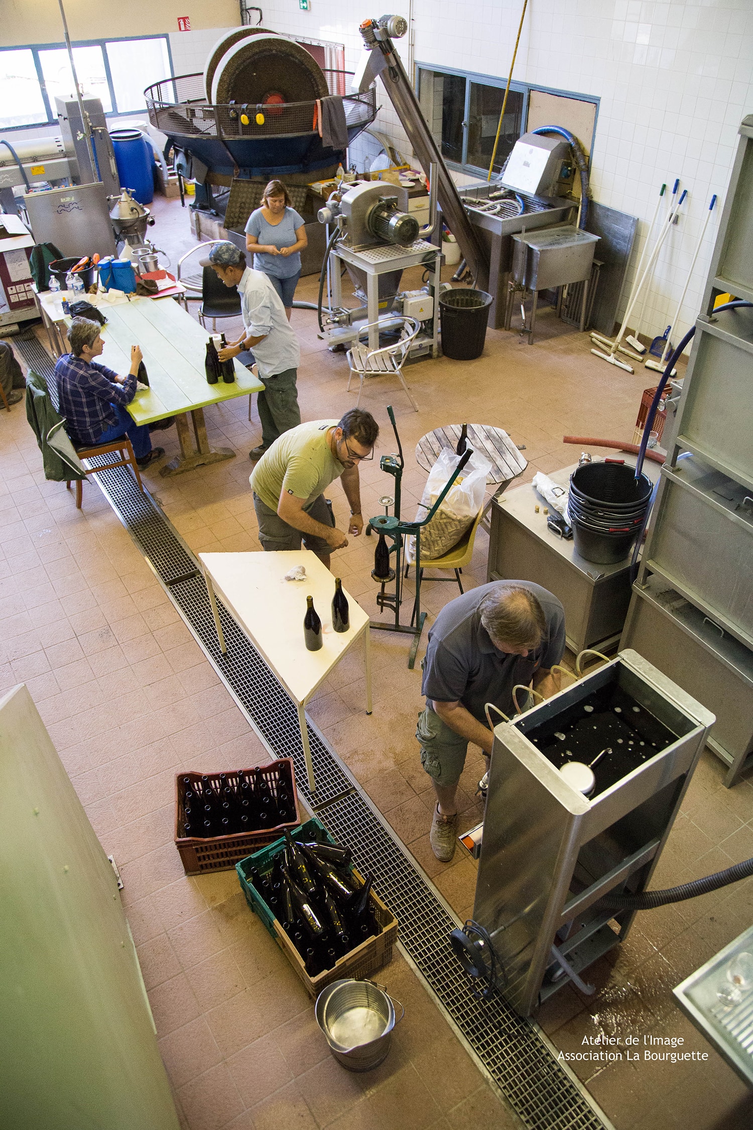 nos productions viticulture