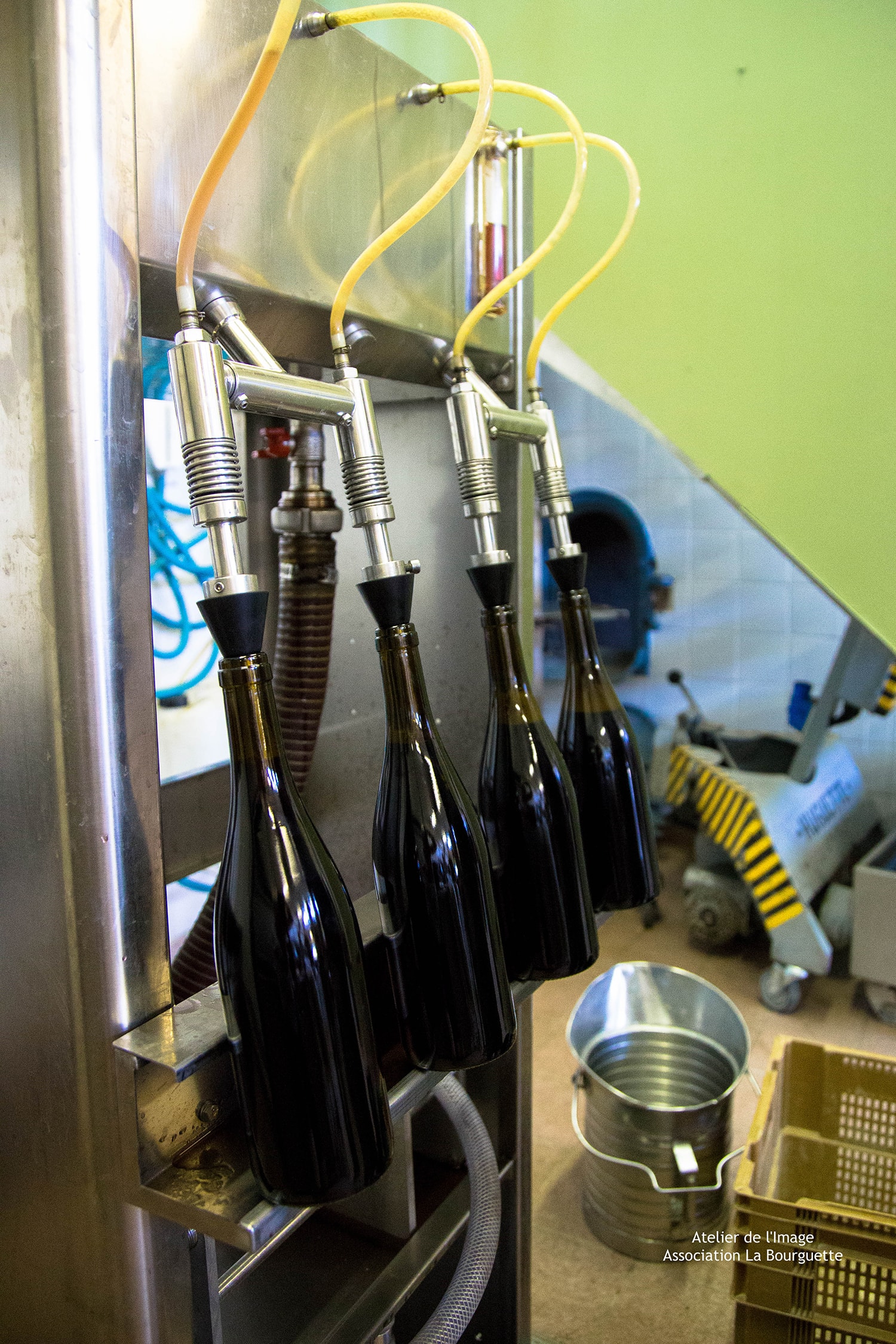 nos productions viticulture