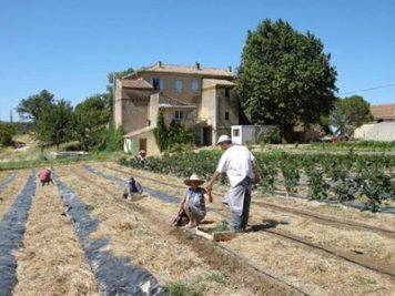 comite ethique veille scientifique