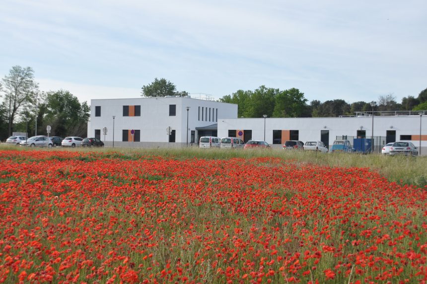 Mesures appliquées au sein du Petit Jardin Mesures appliquées au sein du Petit Jardin