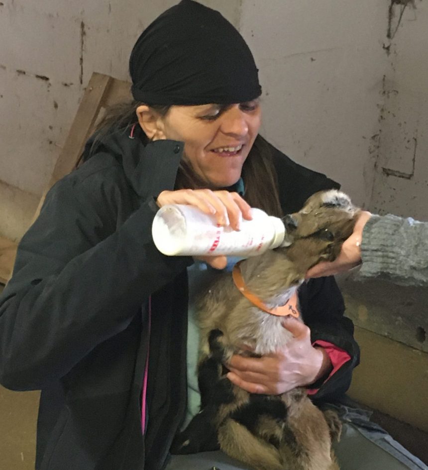 ESAT Le Grand Réal ESAT Le Grand Réal