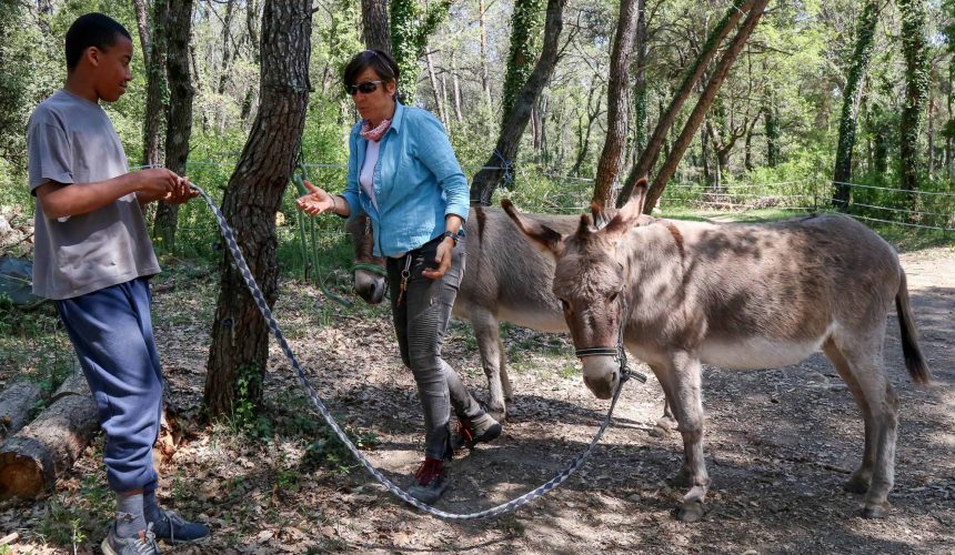 La médiation animale à l’IME La Bourguette La médiation animale à l’IME La Bourguette