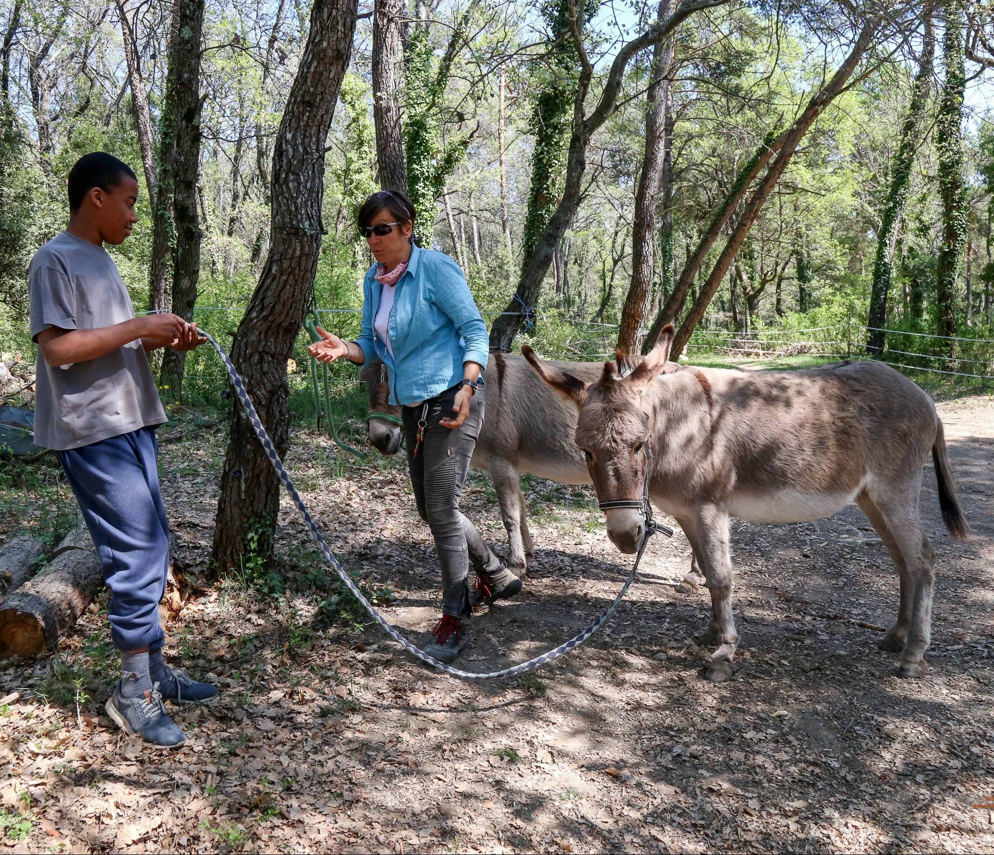 La médiation animale à l’IME La Bourguette