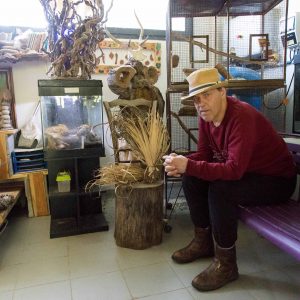 Quelques photos des activités au FAM Les Capelières Quelques photos des activités au FAM Les Capelières