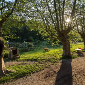 Travail en IME à l’heure du confinement ou comment maintenir la continuité des soins au Petit Jardin? Travail en IME à l’heure du confinement ou comment maintenir la continuité des soins au Petit Jardin?