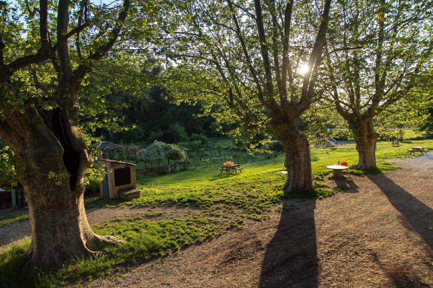 Travail en IME à l’heure du confinement ou comment maintenir la continuité des soins au Petit Jardin? Travail en IME à l’heure du confinement ou comment maintenir la continuité des soins au Petit Jardin?