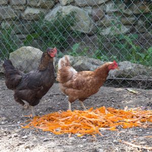 IME La Bourguette IME La Bourguette