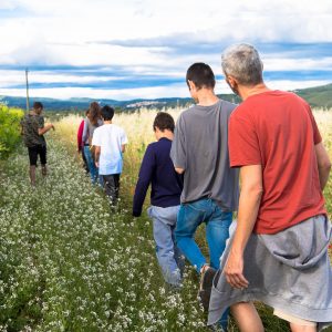 Petite balade dans les champs