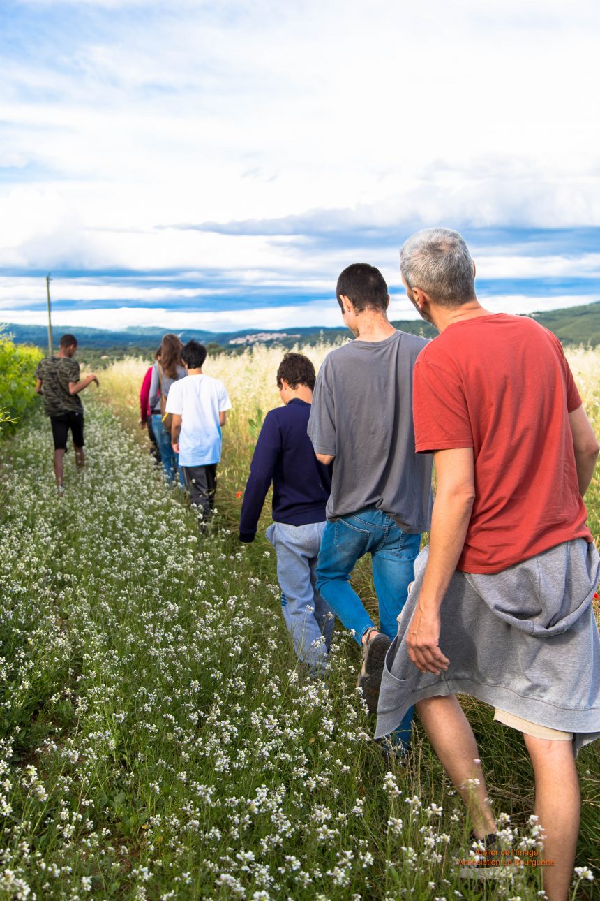 Petite balade dans les champs