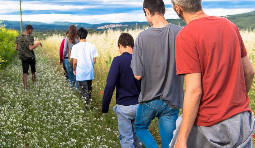 Petite balade dans les champs