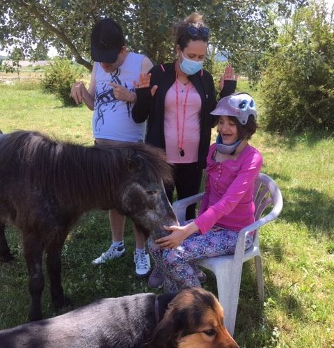 Visite à l’écurie de la Repentance