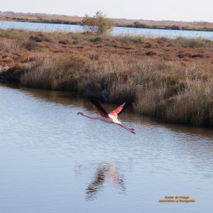Reprise des activités nature avec le FAM Les Capelières Reprise des activités nature avec le FAM Les Capelières
