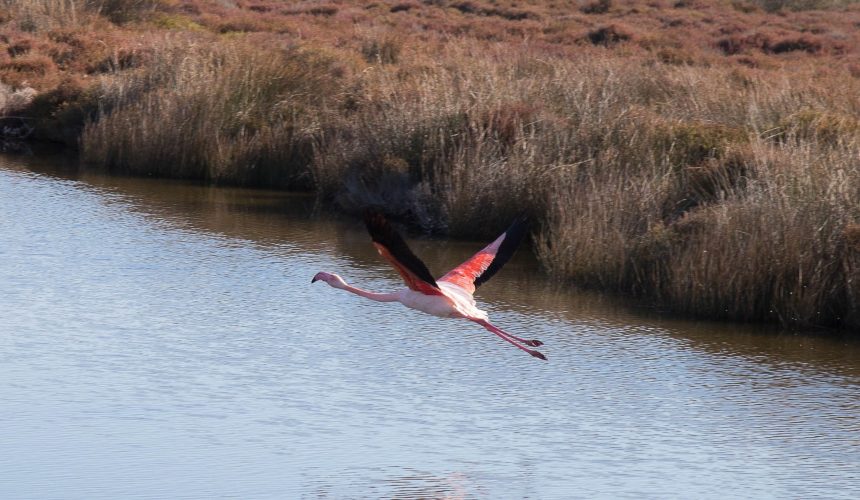 Reprise des activités nature avec le FAM Les Capelières Reprise des activités nature avec le FAM Les Capelières