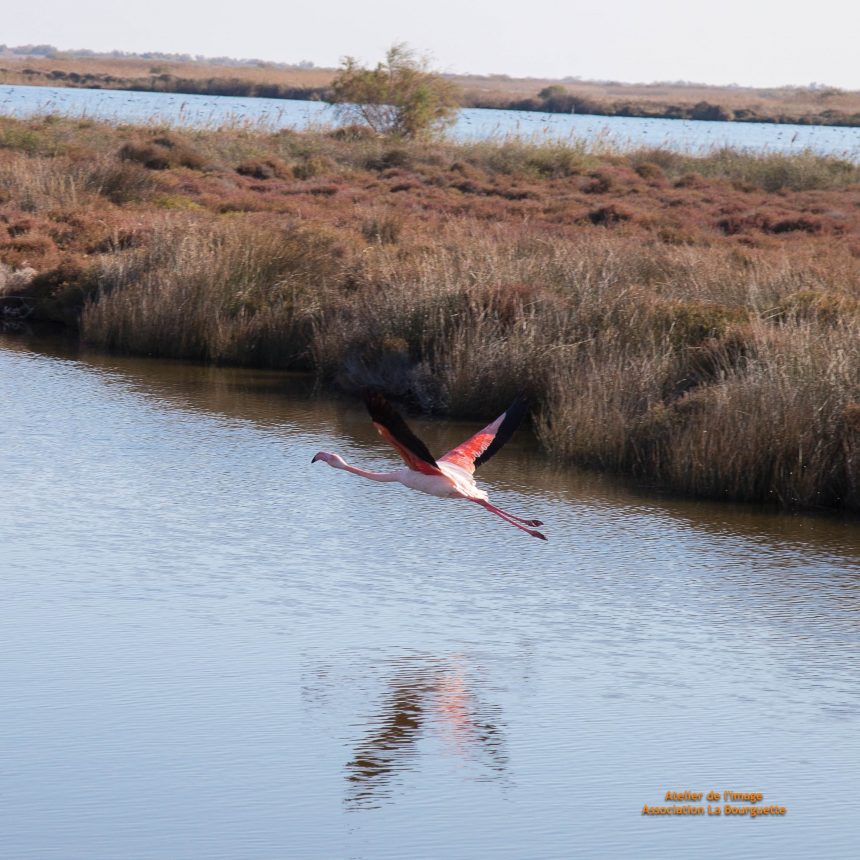Reprise des activités nature avec le FAM Les Capelières Reprise des activités nature avec le FAM Les Capelières