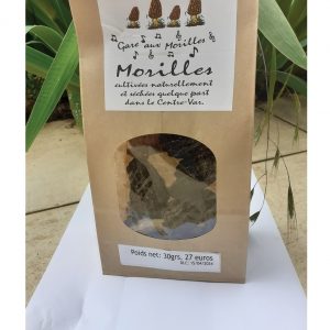 La culture des morilles à Valbonne La culture des morilles à Valbonne