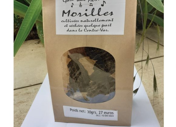 La culture des morilles à Valbonne