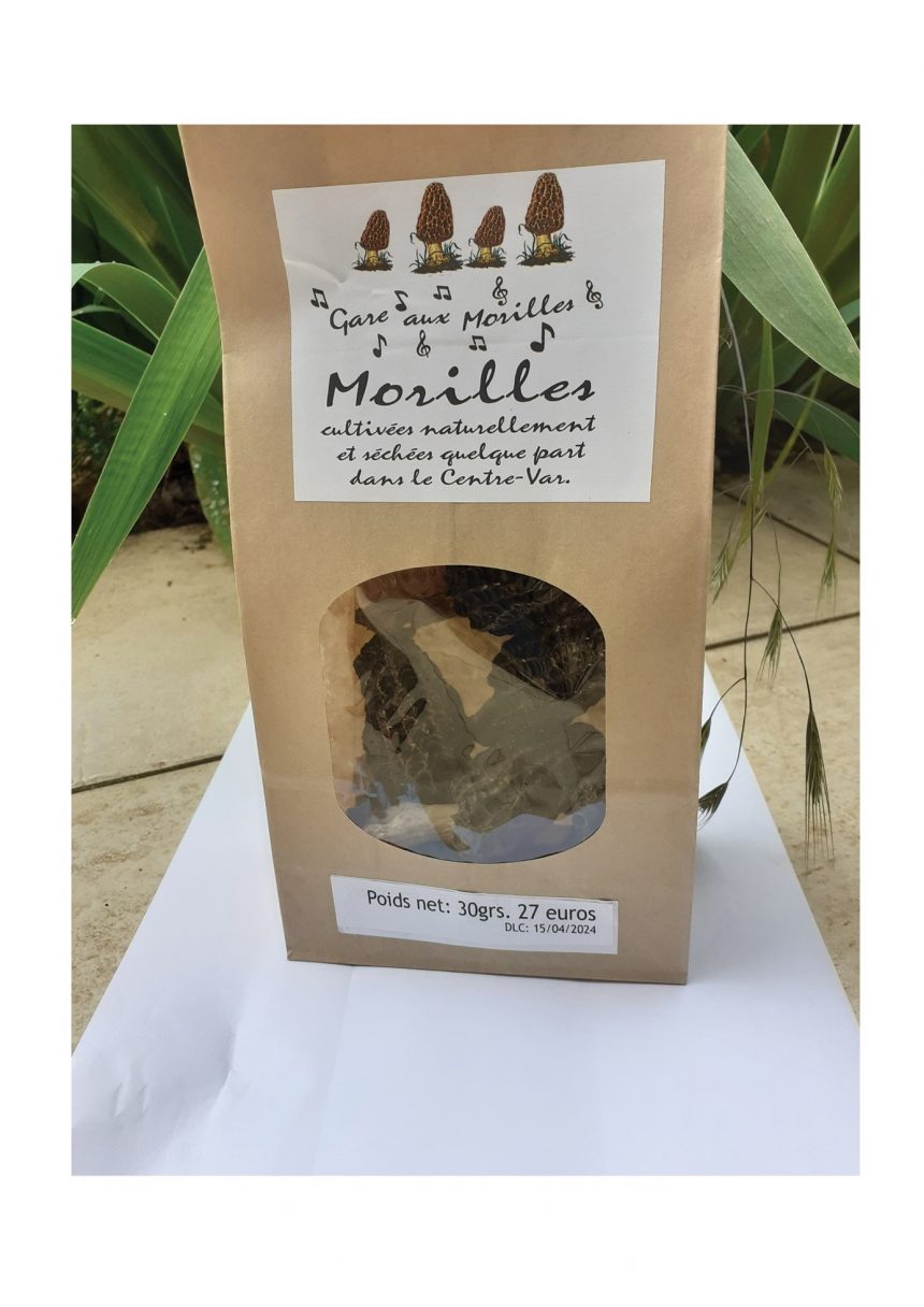 La culture des morilles à Valbonne La culture des morilles à Valbonne