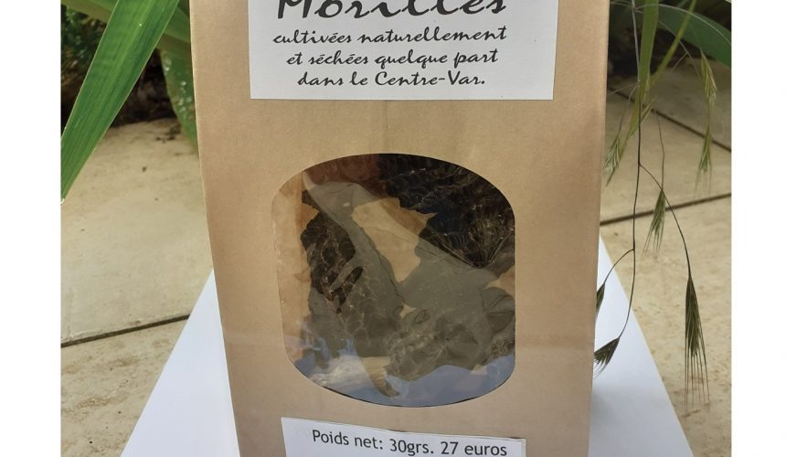 La culture des morilles à Valbonne La culture des morilles à Valbonne