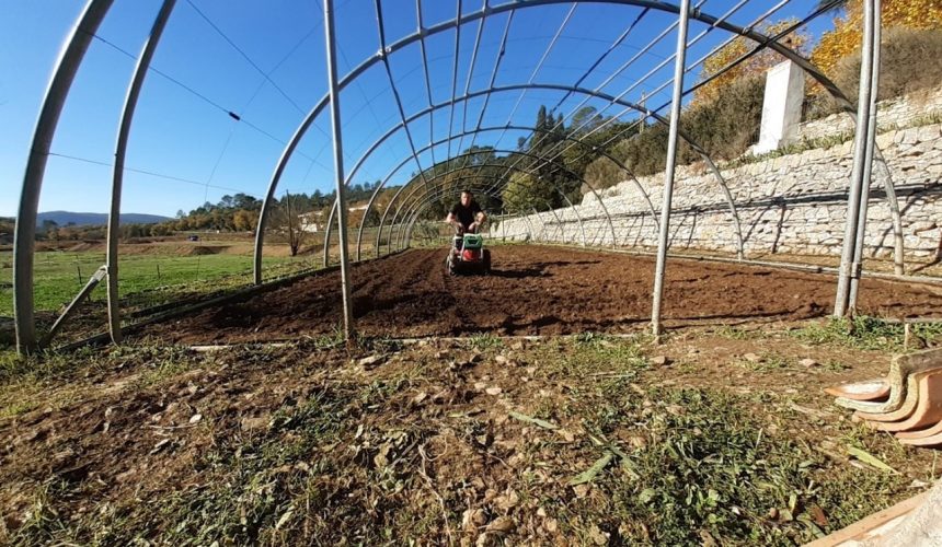 Dernier labourage par Enzo